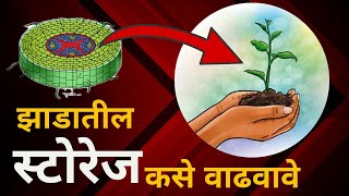 उत्तम वाढीसाठी झाडातील स्टोरेज कसे वाढवावे ll Storage In Plant ll Plant Growth