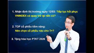Chứng khoán hàng ngày: Nhận định thị trường 12/03. Hồi phục 2 phiên liên tiếp, VNINDEX đã tạo đáy?