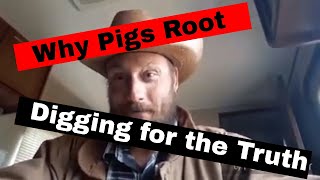 Why Pigs Root | Digging for the truth