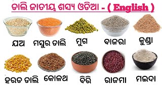 Basic Odia - English words// ଡାଲି ଜାତୀୟ ଶସ୍ୟ// Odia -English  words