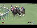 能勢特別［2023.9.10 阪神第10r 2000m 芝］