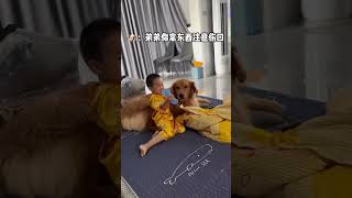 狗子对孩子的爱一点不比我们父母少#金毛 #宠物和孩子 #人类幼崽成长记 #是宠物更是家人