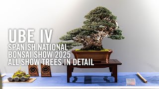 UBE IV national Spanish bonsai exhibition 2025, all show trees in detail.