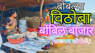 बोंबल्या विठोबा - बोंबील बाजार खरंच स्वस्त असतोय का??. Biggest Dryfish Market in Maharashtra's.