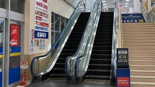 ケーズデンキ 稲城若葉台店 エスカレーター 上り【東芝】Escalator,K's Denki Inagi Wakabadai store(TOSHIBA)