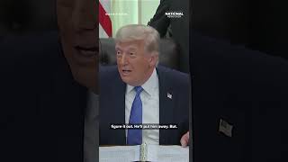 Trump: Graham Platner is a 'THUG', 'WORSE than ANY human being that has ever run for office'