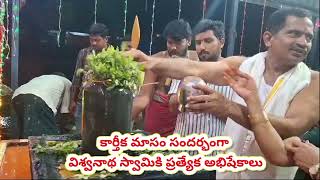 విశ్వనాథ స్వామీ కీ ప్రత్యేకపూజలు#కార్తీకమాసం ప్రత్యేకం#sivalayalu#కార్తీకమాసం2024#devotionalvedio