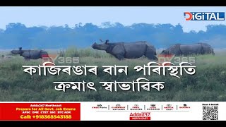 হাইলেণ্ডত আশ্ৰয় লোৱা বন্যপ্ৰাণী পুনৰ বিচৰণ কৰিছে কাজিৰঙাৰ ভিতৰভাগত