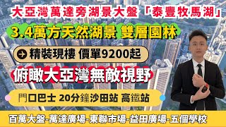 大亞灣萬達旁百萬湖景大盤-泰豐牧馬湖，精裝現房價單9200蚊起，即買即收樓！門口400米萬達廣場，3.4萬方天然湖，無敵視野景觀，俯瞰成個西區！#惠州房產#惠州房價#惠州買樓#泰豐牧馬湖#萬達廣場