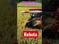 kubota combine harvester dr6130 クボタの6条130馬力コンバインで刈り取りstar🏃‍♂️