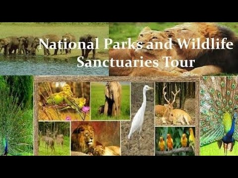 MOST Important National Park Wildlife Sanctuary Biosphere Reserves! Go ...