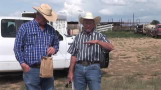 Bruce Carpenter - Environment \u0026 Biosecurity - Rule of Thumb - Leave half of the forage