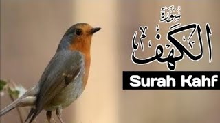 Surah Kahf | سورہ الکہف | heart soothing recitation | Hooria Marjan Islamic Channel