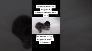 Отличник когда получил 4 а не 5...#рекомендации#мем