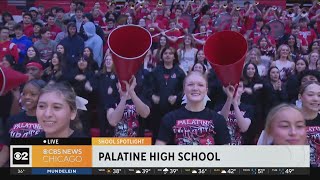 School Spotlight: Palatine High School