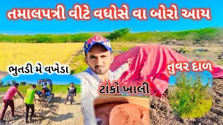 તમાલપત્રી વીટે વધોસે વા બોરો આય | અજ પણ સોયબ જી વાડી તે વેયા સી@AltafGajan @mamadsama8036