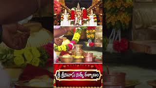 స్వర్ణగిరి శ్రీ శ్రీనివాస నిత్య కళ్యాణం #swarnagiri #SriVenkateswaraSwamy #ytshorts || SWARNAGIRI