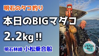 【明石タコ釣り】8月中潮回り（6日潮）ついにやった！2キロ超えの大物ゲット！