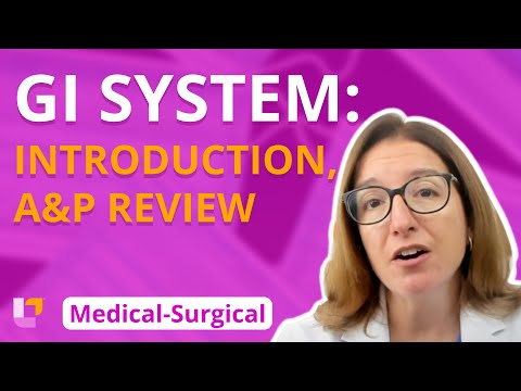 What is gastrointestinal system?