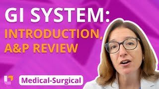 Gastrointestinal System: Introduction, Anatomy & Physiology Review - Medical-Surgical | @LevelUpRN