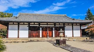 新薬師寺 奈良 / Shinyakushi-ji Temple Nara