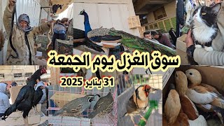 سوق الغزل يوم الجمعة انواع الحيوانات والطيور مع الأسعار 31 يناير 2025|جمعه اليوم الناس خير من الله