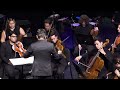 joly braga santos concerto for strings in d major