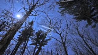 Fall - Winter Time Lapse Compilation