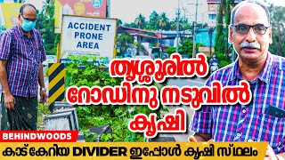 ROAD -ൻ്റെ  DIVIDER കാട് പിടിച്ചു , അത് വെട്ടി നിരത്തി ഇപ്പോൾ കൂർക്ക കൃഷി തുടങ്ങി