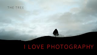 Why I Love Photography