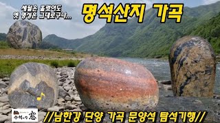 남한강 상류 단양 가곡 탐석기행.A trip to find wonderful patterned stones in Gagok, Danyang, Korea.