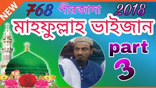 পীরজাদা মাহফুল্লাহ ভাইজান\\\\ pirzada mofijullah hussaini part 3