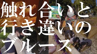 【旅行VLOG】伊豆シャボテン動物公園でヘンな生き物を堪能した｜スローロリス｜ハダカデバネズミ｜アニマルボートツアーズ｜動物園