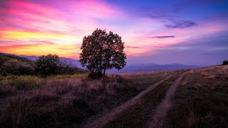 Вечірнє заняття з Хатха-йоги 19.09.2022 Evening Hatha yoga