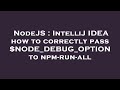 NodeJS : IntelliJ IDEA how to correctly pass $NODE_DEBUG_OPTION to npm-run-all