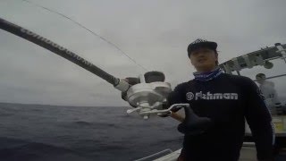 Chasing Yellowtail Kingfish with FISHMAN-BRIST COMODO610XXH Prototype