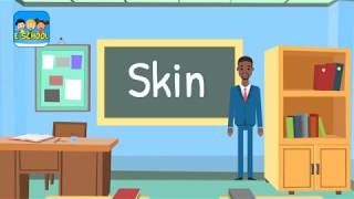 Grade 3 | Subject: Science | Topic: Skin