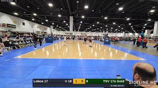 TSV 17s Gold vs. Lobos 17 (2025.01.31)