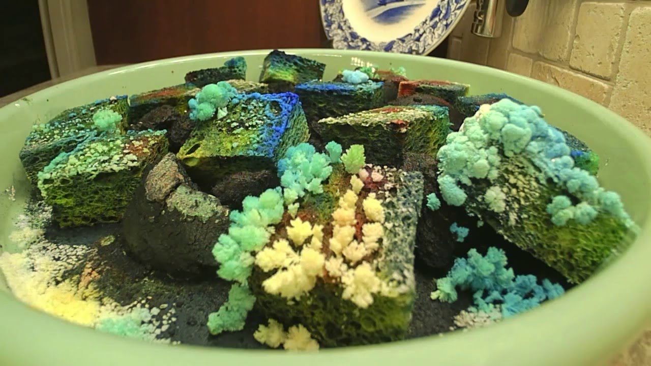 Crystal Growth Experiment Youtube