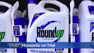 School Groundskeeper Dying Of Cancer Suing Monsanto Over Roundup