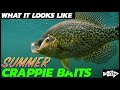 Fishing for Summer Crappies | What it Looks Like Underwater