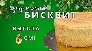 Как приготовить идеальный бисквит: пошаговый рецепт воздушного теста для торта