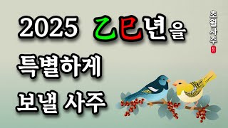 [2025년 운세] 을사년을 특별하게 보낼 사주!