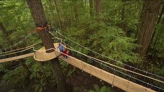 HD 새의 눈높이로 본 숲 '트리워크'(Tree Walk) / NZ Rotorua