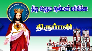 🔴நேரலை 27.01.2025   திருப்பலி தூய இருதய ஆண்டவர் பசிலிக்கா, புதுச்சேரி. 06.00 AM