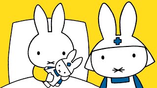 ミッフィー・アット・ザ・ホスピタル ｜MIFFY｜こども・幼児向けテレビ｜ミッフィー