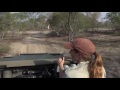 Sabi Sand Wild Safari Live 2016-10-12 sunset