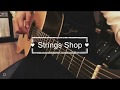 Strings Test - Breedlove   Premier Concert Rosewood