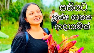 තුඹ පරාගනයට මල් ජෝඩු කරන හැටි | Agriculture | Eco Garden farming