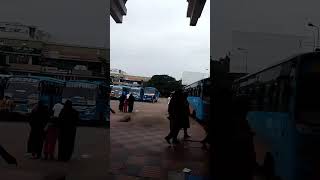 #kozhikode Bus stand in #kerala  #youtube #short #video